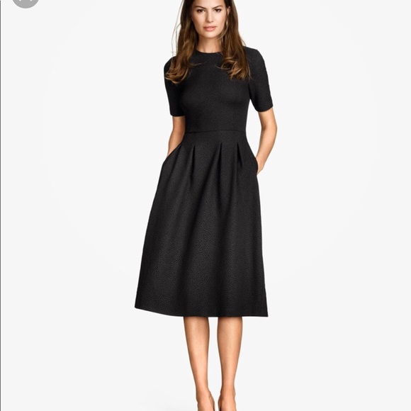 modest lbd